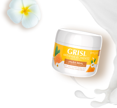 Logo Grisi Tu Mejor Piel