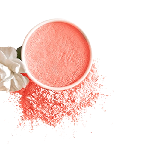 Logo Grisi Tu Mejor Piel